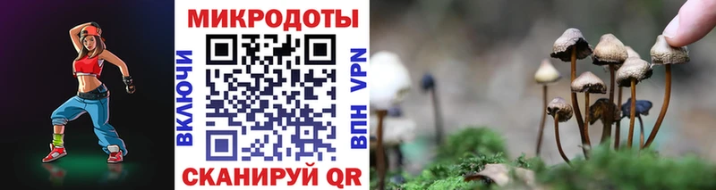 Псилоцибиновые грибы Magic Shrooms  Сураж 